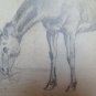 Drawing Antique Studio for Horse Sketch for a Horse Pencil on Basket P28