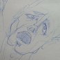 Old Drawing Sketch Sketching Studio Portrait Face Human Original P28.8