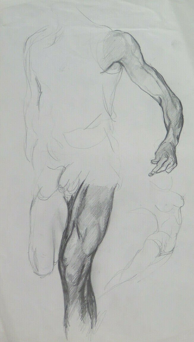 Old Drawing Sketch Studio Anatomical Body Male and Nude Feminine P28.9