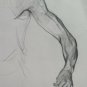 Old Drawing Sketch Studio Anatomical Body Male and Nude Feminine P28.9