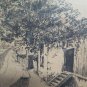 Antique Incision Engraving with Frame in Briar Denmark Beginning`S R116