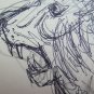 Lion Old Drawing Sketch Opera Painter Gaetano Pancaldi 1922-2014 P28.7