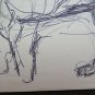 Lion Old Drawing Sketch Opera Painter Gaetano Pancaldi 1922-2014 P28.7