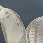 Pair of Fret Decorative Shaped like Bird Engraved on Iron by hand Ch 13 86 87