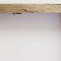 22x12 5/8in Frame for Paintings Vintage Wooden Ideale Also for Mirror X1