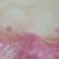 Painting Vintage Symbolist Newwave Technical Mixed Nude Feminine with Lion P33.8