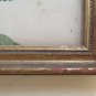 Engraving Botanica Vintage with Blossom Rose Frame Coeval half' `S SU3