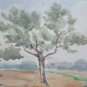 Painting Landscape Summer Emilia Romagna Signed Pancaldi Painter of Modena P14