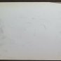 Cow Old Drawing Sketch Studio of Painter G.Pancaldi 1922-2014 P28.7