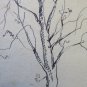 Antique Drawing a Pen on Basket Studio for Landscape Cona Lberi Undress P28.5