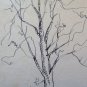 Antique Drawing a Pen on Basket Studio for Landscape Cona Lberi Undress P28.5