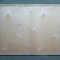 Painting Antique Oil Landscape River Signed with Certificate Original p11