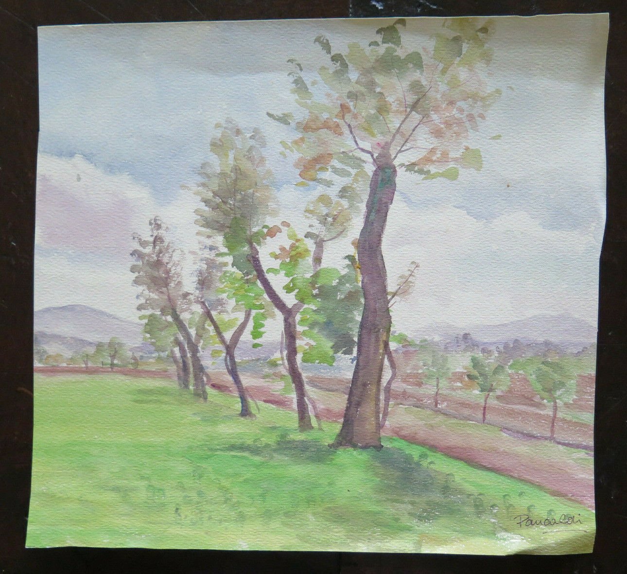 Landscape Countryside Emilia Romagna Old Hand Painted Local 13x12 3/16in P14