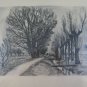 Engraving Antique Incision Landscape Denmark First 900 Denmark Print R103