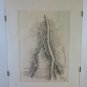 Drawing Pencil on paper Signed and Dated 1976 Vintage Trees Cut G38