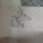Antique Engraving First 900 Trykt Af Max Kleinsorg Kbhvn Denmark Denmark R103