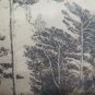 Antique Engraving First 900 Trykt Af Max Kleinsorg Kbhvn Denmark Denmark R103