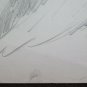 Bird Old Drawing Sketch of Painter G.Pancaldi 1922-2014 P28.7