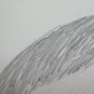 Bird Old Drawing Sketch of Painter G.Pancaldi 1922-2014 P28.7