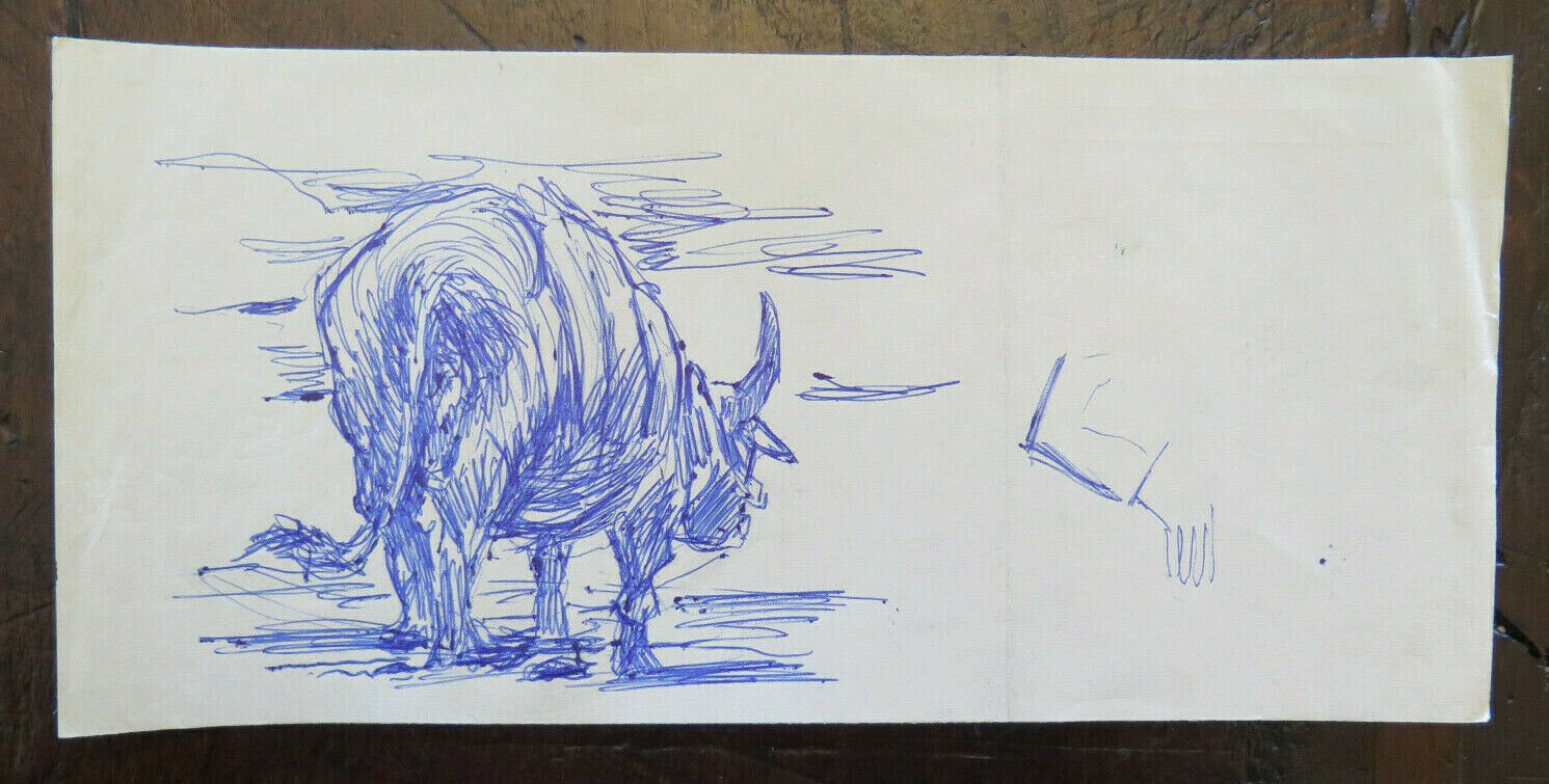 Old Sketch Studio Preparatory Drawing Animals Toro Author Pancaldi P28.5