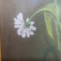 Antique Drawing a Pastel First Twentieth Century Theme Botanic Floral Blossom G4
