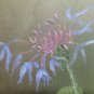 Antique Drawing a Pastel First Twentieth Century Theme Botanic Floral Blossom G4