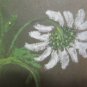 Antique Drawing a Pastel First Twentieth Century Theme Botanic Floral Blossom G4