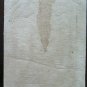 Small Painting Antique Oil on Linen Style Impressionist Landscape Campi P14
