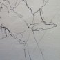 Sketch a Pen on Basket Drawing Opera Painter Gaetano Pancaldi of Modena P28.5