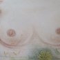 Painting Pop Art Painting Technical Mixed Nude Feminine Author G.Pancaldi P33.9