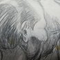 Antique Sketch of Painter Gaetano Pancaldi of Modena Years Quaranta P28