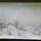 19 11/16x13 13/16in Landscape Winter Onrico Painting to Waterlily Frosted P14