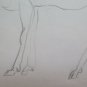 Deer Old Drawing Sketch Studio of Painter G.Pancaldi 1922-2014 P28.7
