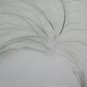 Drawing Antique Portrait Feminine Pencil on Basket Sketch Sketching Art P28.8