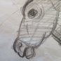 Antique Drawing Pencil on paper Sketch Studio for Shapes Human Hair & Horses