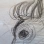 Antique Drawing Pencil on paper Sketch Studio for Shapes Human Hair & Horses