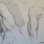Drawing Original of Painter Gaetano Pancaldi Studio Sketch on Basket P28.5