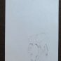 Drawing Sketch on Basket Victims War Vietnam Years 60 Painter Pancaldi P28.7
