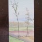 Sketch Painting to Watercolour Landscape Signed Author G.Pancaldi 1948 P28.4