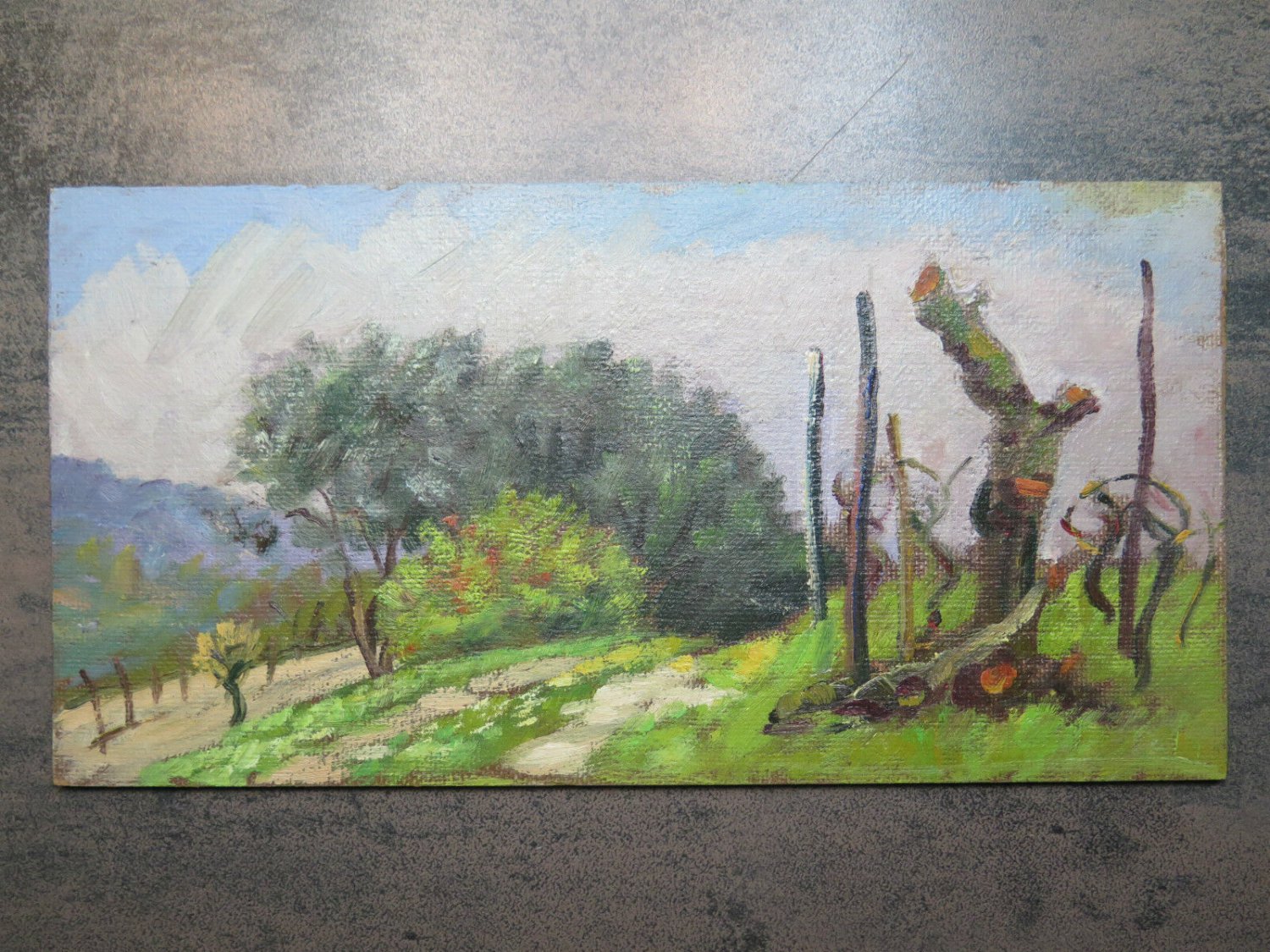 Painting Antique landscape oil On Board Painting Modern Of 900 Campi Summer p1