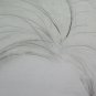 Drawing Antique Portrait Feminine Pencil On Basket Sketch Sketching Art P28.8
