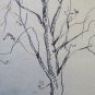 Antique Drawing A Pen On Basket Studio For landscape Cona Lberi Undress P28.5