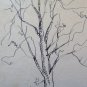 Antique Drawing A Pen On Basket Studio For landscape Cona Lberi Undress P28.5