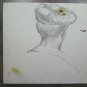 Antique Drawing Pencil On Basket Studio For Head Male With Hat 1950 P28