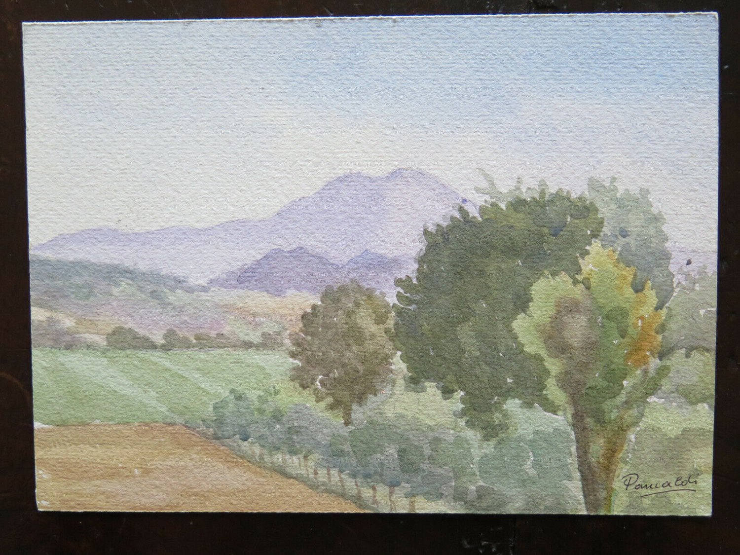 Painting Vintage Painting Watercolour landscape Countryside Emiliana Signed P14