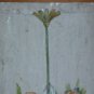 Painting Antique Spanish Floral Blossom Nature Still Spain Art Nouveau Fiore MD7