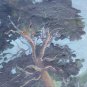 Old Painting Spanish landscape Painting oil On Linen Spain Painting Europe MD8