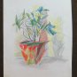 Old Drawing Sketch Vase Flowers Opera Of Master G.Pancaldi P28.7