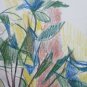Old Drawing Sketch Vase Flowers Opera Of Master G.Pancaldi P28.7