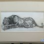 Drawing Antique Pencil On Basket Lion Lioness Animal Signed Dated 1937 BM53.2